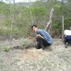 miembro directa sasn apoya reforestacion